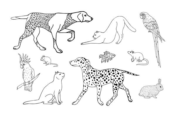 Vector hand drawn set of black outline pets