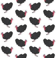 Vector seamless pattern of hand drawn turkey