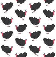 Vector seamless pattern of hand drawn turkey