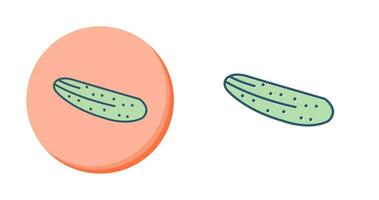 Cucumber Vector Icon