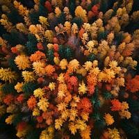 Aerial view of an enchanting autumn forest with vibrant hues of orange, red, and gold AI Generative photo