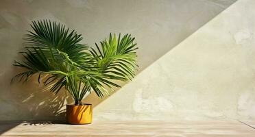 gris cemento pared y piso, palma árbol en florero en un luz de sol, sombra, rayos de sol efecto desde ventana, para lujo interior diseño decoración, producto monitor antecedentes. ai generativo foto