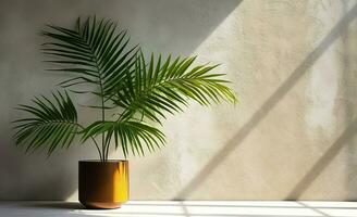 Brown cement wall and floor, palm tree in vase in a sunlight, long shadow for luxury interior design decoration, product display background, AI Generative photo