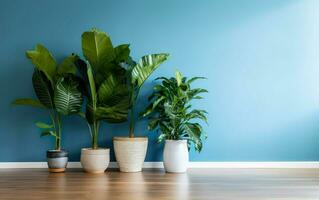 The indoor potted plants decoration in modern room with a wooden floor and blue wall. AI Generative photo