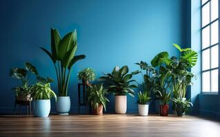 The indoor potted plants decoration in modern room with a wooden floor and blue wall. AI Generative photo