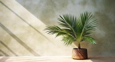 Light green cement wall and floor, palm tree in vase in a sunlight, natural shadows design, for luxury interior design decoration, product display background, AI Generative photo