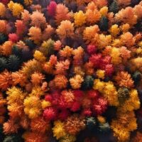 Aerial view of an enchanting autumn forest with vibrant hues of orange, red, and gold photo