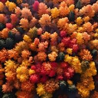 Aerial view of an enchanting autumn forest with vibrant hues of orange, red, and gold AI Generative photo