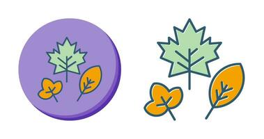 Autumn Leaf Vector Icon