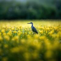 un pájaro en pie en campo de amarillo flores ai generativo foto