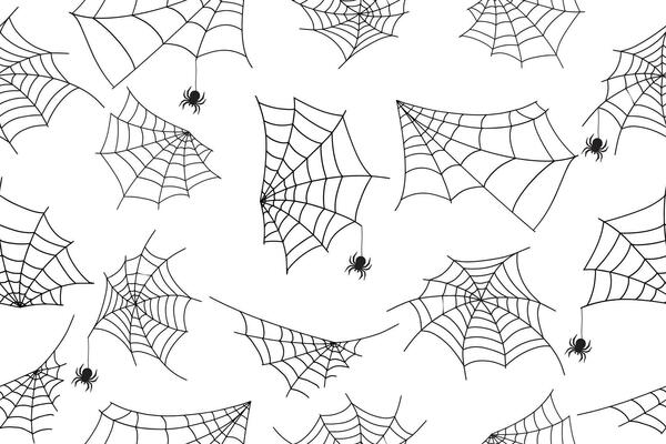 Halloween spider web seamless pattern. white background and black cobweb. Seamless vector background. . Vector