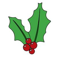 Holly berry branch colored outline. Hand drawn holly berry isolated on white background. Vector illustration.