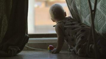 bebé niña es interesado en vida fuera de el ventana video