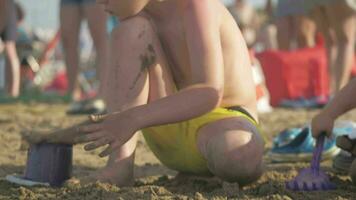 Boy and junior sister playing with sand on the beach video