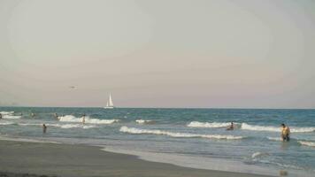 Sea view with people bathing and white sailboat video