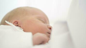 Portrait of sleeping newborn baby video