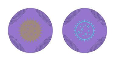 Bacteria in Slide Vector Icon