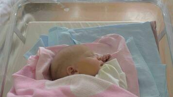 nouveau née bébé fille dans lit de bébé étant à roues vers le bas une couloir video
