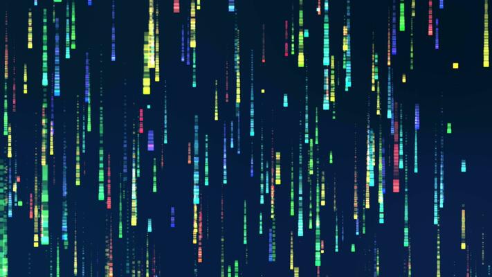 Live Wallpaper Coding Stock Video Footage for Free Download