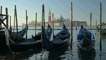 Gondola boats in Venice Italy in the harbor video