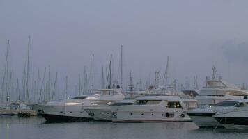 Moored yachts in the port of Alicante, Spain video