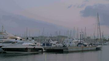 Yachts mooring Evening view of harbour in Alicante, Spain video