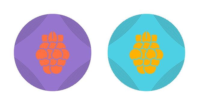 Raspberry Vector Icon