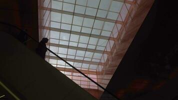 People on escalator in shopping centre video