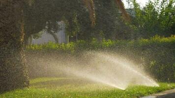 Automatic sprinklers watering green lawns video