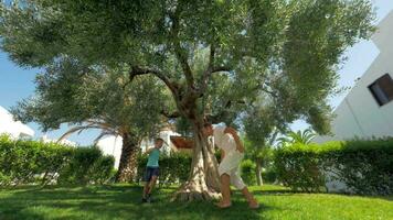 papà con figlio avendo divertimento nel il giardino su estate giorno video