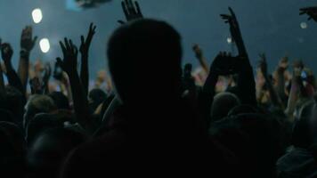 Excited fans dancing at the concert video