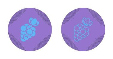 Berries Vector Icon