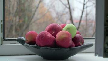 Bowl with apples and late autumn outside the window video