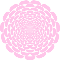 Rahmen Rand Kreis Kirsche blühen Sakura süß Rosa Dekoration illustriert png