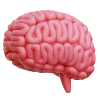 cervello 3d icona illustrazione png