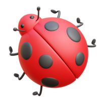 Ladybug 3d Icon Illustrations png