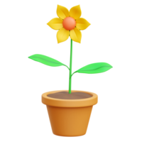 Flower 3d Icon Illustrations png