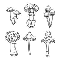 Set of doodle hand drawn poisonous mushrooms. Sketch hand drawn design for Halloween for coloring pages, stickers, tatoo. Black outline fungus simple drawn on white background vector