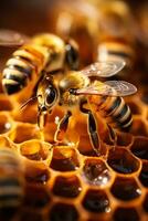 abeja colonias a trabajo en sutil tonos antecedentes con vacío espacio para texto foto