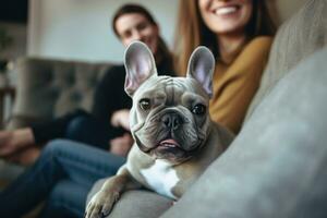portrait of man and woman hugging cute french bulldog. pet concept photo