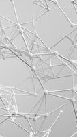 Plexus wired structure white abstract background photo