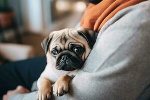 portrait of man and woman hugging cute pug dog. pet concept photo