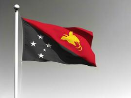 Papua New Guinea national flag waving on gray background photo
