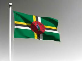 Dominica national flag isolated on gray background photo