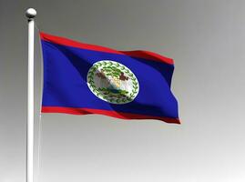 Belize national flag isolated on gray background photo