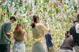 laboratorio de equipo planetas Arte museo en tokio flor en jardín zona foto