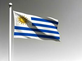 Uruguay national flag isolated on gray background photo