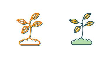 Plant Vector Icon