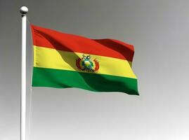 Bolivia national flag isolated on gray background photo