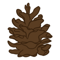 Dried Pine Cone png